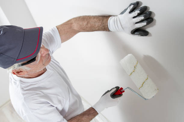 Best Mold Prevention Services  in White Settlement, TX