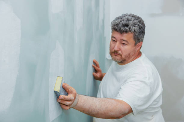 Best Mold-Related Health Consultation  in White Settlement, TX