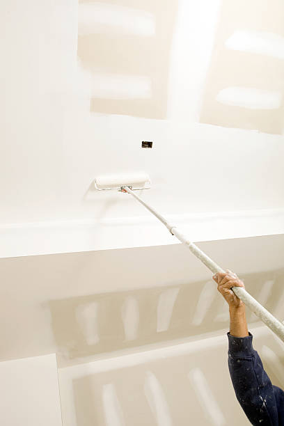 Best Black Mold Removal  in White Settlement, TX