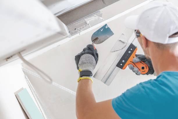 Best Basement Mold Removal  in White Settlement, TX